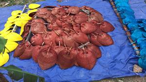 Éventail durable en feuille de palmier-fait à la main, naturel, couleurs vives - Product Image 5