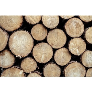 บันทึกโก้สดตัด-ราคาขายส่งสำหรับการสั่งซื้อจำนวนมาก - Product Image 3