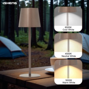 Hiện đại Nordic sắt Led Bàn đèn 3000-6500K điều khiển cảm ứng Type-C Pin thân thiện với môi đơn giản bán buôn - Product Image 5