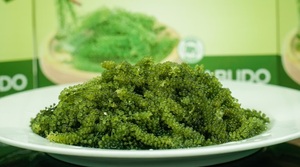 สาหร่ายองุ่นทะเลอบแห้งธรรมชาติร้อยละ100จากเวียดนาม - Product Image 5
