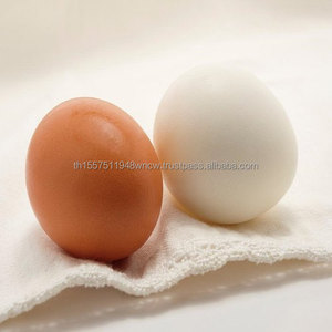 Huevos de Gallina Frescos de Granja, Marrones y Blancos, Huevos de Gallina Conservados y Congelados - Product Image 2