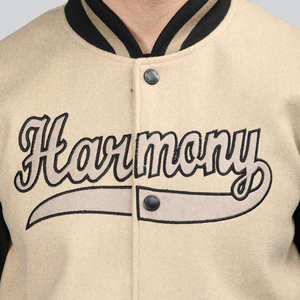 Offre Spéciale Eco Friendly Unique Style Hommes Letterman Veste Grande Personnalité À La Mode Produit Confortable Trucs Hommes Varsity Veste - Product Image 6