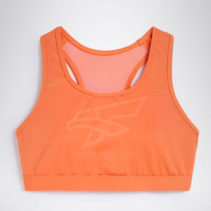 2025 Sujetador deportivo de la mejor calidad Precio razonable Nuevo diseño Sujetador transpirable para mujer Hecho en Pakistán - Product Image 1