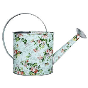 Arrosoir en fer galvanisé et en acier inoxydable avec poignée Équipement d'arrosage de jardin et de maison Vente à chaud - Product Image 4