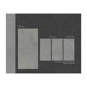 Azulejos de piso de cerámica mate Natural de 600x1200mm de tamaño personalizado de alta calidad para azulejo de piso de porcelana de sala de estar - Product Image 4