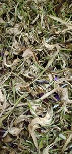 ดอกอาร์ติโชกแห้งจากเวียดนามสำหรับการผลิตเครื่องดื่มเชิงอุตสาหกรรม ที่เน้นวัตถุดิบสมุนไพรธรรมชาติ - Product Image 4