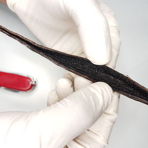 Vainas de Vainilla Secas de Alta Calidad de 1 a 2 Pulgadas, Grado de Extracto 1 - Compre Todos los Productos de Vainilla - Product Image 5