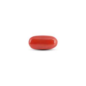 Coral rouge japonais 6,3 carats Pierre précieuse naturelle minérale Coupe ovale Polie et blanche Hauteur 3 mm - Product Image 1