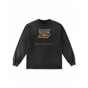 Premium 360 GSM coton polaire sweat doux tissu brossé Logo personnalisé broderie à manches longues Streetwear basics sweat - Product Image 1