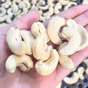 Anacardos W320 a precio internacional de proveedor de confianza de anacardos de Santiago Vietnam - Product Image 1