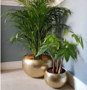 Elegante maceta de latón de estilo vintage con detalles intrincados, perfecta para interiores de lujo y arreglos de plantas impresionantes - Product Image 1