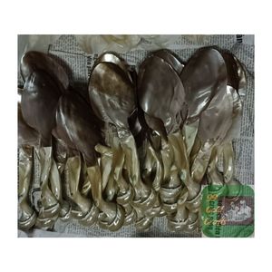 Handmade Conch Seashell Spoon from Vietnam Premium <b>Mother</b> of Pearl Spoon for Luxury Dining Experience - Product Image 2