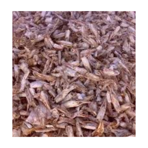 2024 cáscaras de camarón secas de alta calidad del proveedor vietnamita embalaje de bolsa a buen precio - Product Image 1