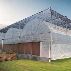 Invernadero Hidropónico con Cubierta de Película de PE Agrícola Multispan Grande Personalizado / Construcción Inteligente Económica - Product Image 2
