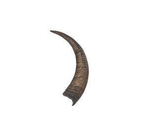 Vente en gros directe de haute qualité auprès de grossiste Coquille de corne de chèvre naturelle dans le style Feng Shui Décorations d'animaux polis - Product Image 3
