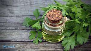 Aceite de Semilla de Perejil 100% Puro y de Alta Calidad al por Mayor, Fabricante de Aceite de Semilla de Perejil 100% Puro y Natural, el Mejor Aceite de Semilla de Perejil de la INDIA - Product Image 4