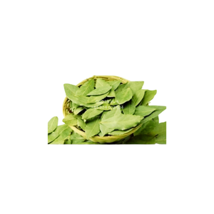 2024 Meilleure vente feuilles de corossol séchées scellées sous vide bio et fraîches Vietnam - Product Image 3