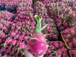 Dragon Fruit à chair blanche fraîche du Vietnam, peau verte, goût sucré, haute qualité, emballé pour l'exportation, vente en gros et sur le marché. - Product Image 2