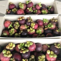 Biologische verse mangosteen, zoete, heerlijke passievrucht, geproduceerd bij optimale rijpheid, perfecte smaak, premium kwaliteit, Khey TaladThai