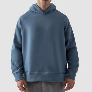 2025 nuevo artículo Sudadera con capucha de algodón Sudaderas con capucha de invierno para unisex Sudaderas con capucha de invierno Lisas para unisex de Boomletcorp. - Product Image 1