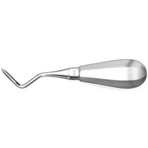 Elevadores dentales Berten de acero inoxidable de alta resistencia, Instrumentos dentales de raíces, elevadores de raíces dentales para perder dientes - Product Image 5