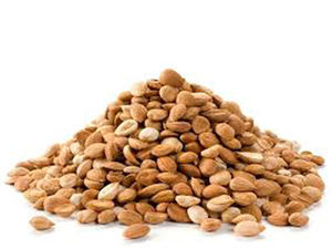 Núcleos de Albaricoque de Primera Calidad, Frutos Secos Económicos, Suministro Directo de Fábrica, En Venta - Product Image 3