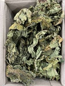 Feuilles de papaye séchées du Vietnam, directement de l'usine, Carica Papaya, matière première en vrac pour sachets de thé en vrac et étiquette personnalisée - Product Image 6