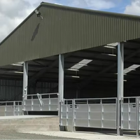 Structure en acier sur mesure pour étable à vaches laitières, bâtiment d'élevage ventilé pour bétail