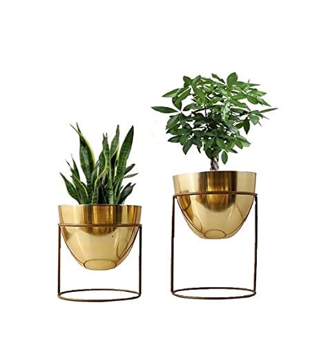 ปรับแต่ง