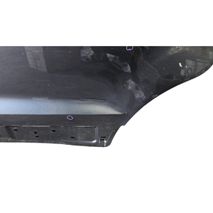 PORTA POSTERIORE SINISTRA FORD EcoSport Serie XVJD (12>) - Product Image 3