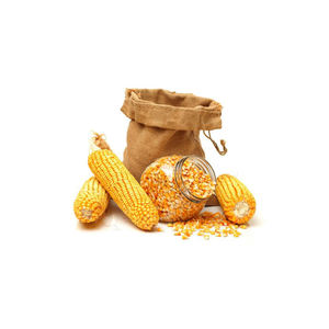 Maíz dulce secado al aire de maíz amarillo y blanco no OGM de alta calidad para exportación de piensos disponibles para la venta - Product Image 4