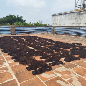 Extensiones de Cabello Remy Indio al por Mayor para Trenzas, Doble Trama a Máquina, Calidad de Exportación, Proveedores y Fabricantes de Confianza de la India - Product Image 1