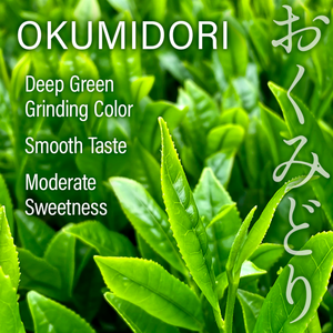 Samidori original unique Uji Matcha thé vert en poudre 100% naturel de kyojapon vente en gros marque privée - Product Image 3