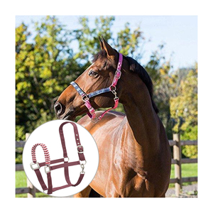 Cabestro de PP para Caballos de Alta Calidad - Colores y Logotipo Personalizables, Uso Ecuestre, Gran Venta - Product Image 2