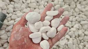 Adoquines de piedra de Río caídos blancos como la nieve pulidos de tamaño regular Guijarros redondos naturales de estilo de Diseño Industrial de Vietnam - Product Image 2