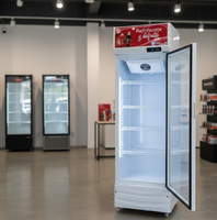 Réfrigérateur à boissons vertical à porte vitrée simple, refroidisseur de boissons instantané à bas prix, vitrine commerciale