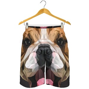 Nouveaux hommes sport loisirs respirant Fitness cordon séchage rapide lâche hommes pantalons de plage couleur unie Shorts chien patte - Product Image 4