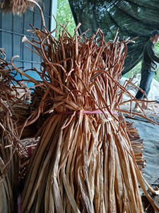 Jacinto de agua cruda natural de Vietnam: Jacinto de agua cruda para manualidades, eco-sostenible, a granel, de alta calidad, listo para la exportación - Product Image 5