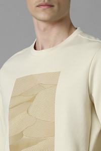 Tamaño adulto transpirable bajo precio hombres prendas de vestir sudadera OEM impreso cálido invierno cuello redondo pulóver sudaderas con capucha para hombres - Product Image 5