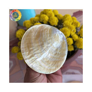 Cuillère et assiette en nacre faits à la main, plat rond pour la décoration de la maison de luxe, cuillère en nacre artisanale pour un usage gastronomique - Product Image 6