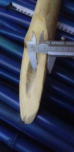 Fournisseur de bambou Vente en gros de bambou jaune naturel brut et sec Poteau de bambou 2M 3M 4M 5M 6M 7M 8M - Product Image 3