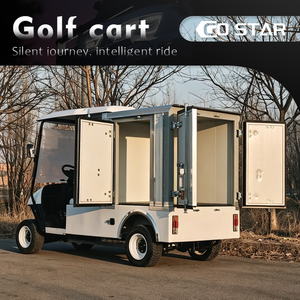 Voiture de golf électrique modifiée avec une boîte de chargement pour transporter des marchandises, 2 places, utilitaire, nouvelle, 5 kW - Product Image 1