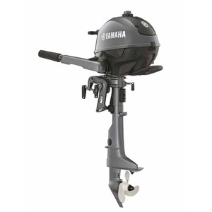 Qualité supérieure pour la catégorie de produits des moteurs de bateau F2.5BMHS Gambo Corto - Product Image 3