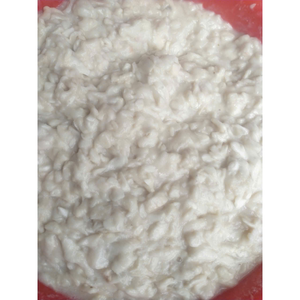 Graviola congelé de qualité supérieure provenant du Vietnam avec une texture douce et un arôme brillant, emballé pour l'exportation en vrac et l'approvisionnement - Product Image 1