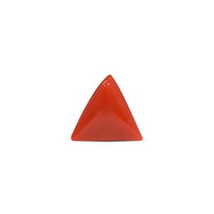 Cuentas de Coral Rojo de 7.71 Quilates, Joyería de Hueso de Concha y Coral - Product Image 1