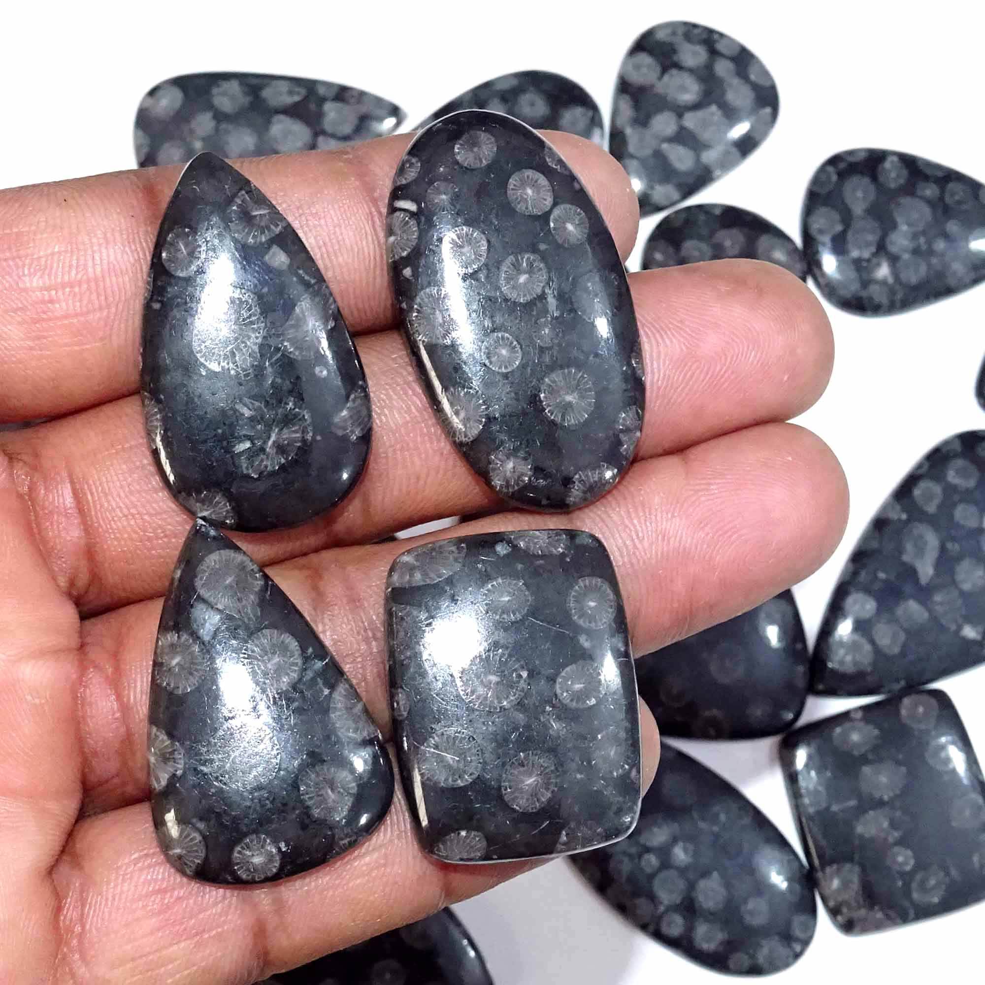 ตามที่แสดงในภาพ