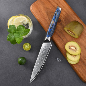 มีดอเนกประสงค์ดามัสกัสสีฟ้า VG10 2025งาน OEM กำหนดเองได้อเนกประสงค์กลางแจ้งสำหรับห้องครัวบ้านสำหรับพ่อครัว - Product Image 4