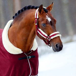 Bride de cheval en cuir fabriquée à la main dans le style de selle anglaise conçue pour la durabilité et la performance de confort dans divers extérieurs - Product Image 3