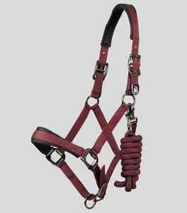 High Quality English Style Horse <b>Head</b> Collar Durable Halter for Jumping Schooling and Stable Work Horse <b>Head</b> Collar - Product Image 2