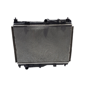Radiador de Agua para Ford EcoSport Serie H1BG-8005-CD Híbrido 1000 (12>) - Product Image 1